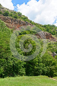 Mountain slopes with dense green forest on sunny summer day