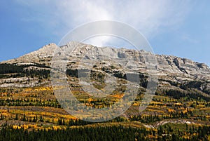 Mountain slopes with forests