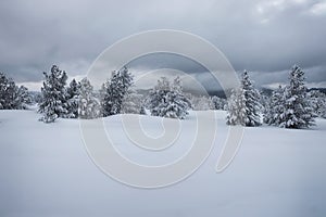 Mountain slopes in winter