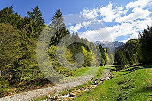 Mountain small river in spring