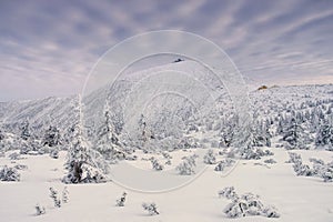 Mountain Sniezka in winter photo