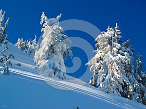 Mountain Snow