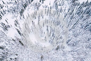 Mountain snow covered pine forest, top down aerial view. Winter landscape