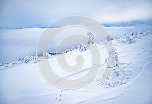 Mountain snow and frozen landscape