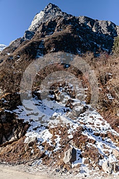 Mountain with snow and leaves less trees. Below with dirt road on the way to Zero Point at Lachung in winter. North Sikkim, India