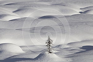 Mountain Snow Moguls