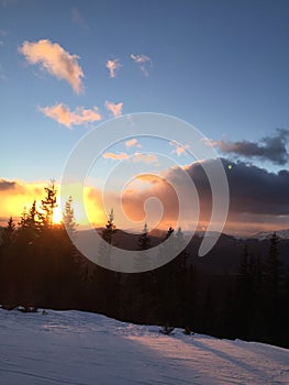 Mountain snow skii trees romania