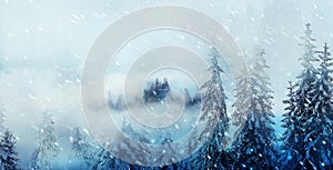 Mountain snowy landscape and snow covered trees, graphic effect