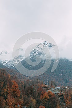 Mountain in sochi park, outumn