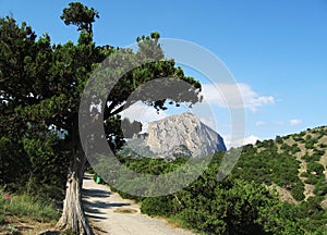 Mountain Sokol in Crimea