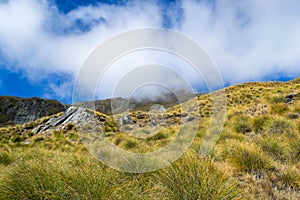 Mountain spirit - Roys Peak in New Zealand