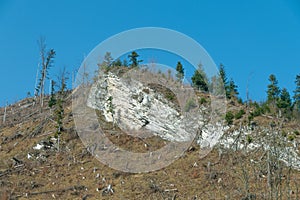 Mountain spring landscape. Mountain slope with sparse vegetation