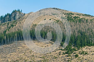 Mountain spring landscape. Mountain slope with sparse vegetation