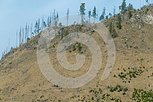 Mountain spring landscape. Mountain slope with sparse vegetation