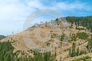 Mountain spring landscape. Mountain slope with sparse vegetation