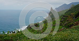 Mountain spring meadow. Wild white flowers, landscape nature and rural field. Cloudy weather, green grass. Tenerife