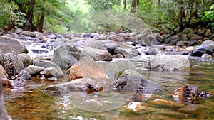 The mountain spring water is flowing softly