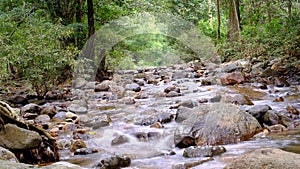 The mountain spring water is flowing softly