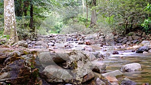 The mountain spring water is flowing softly