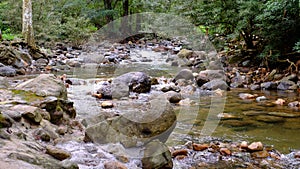 The mountain spring water is flowing softly