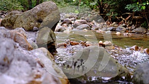 The mountain spring water is flowing softly