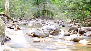 The mountain spring water is flowing softly