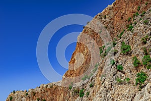 Mountain with a steep cliff and trees growing on the slope