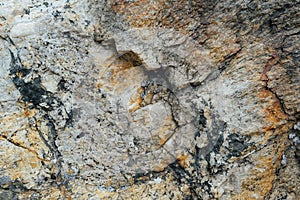 Mountain stone texture for background, close up