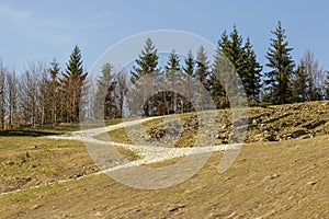 The mountain stone trail