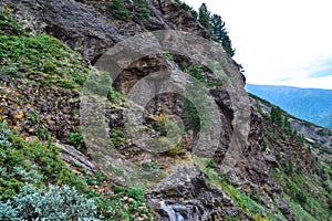 mountain stones rocky slope overgrown with moss grass, bushes and trees in Baikal green mountains