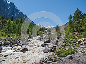 Mountain stormy river flowing from the melting winter snow. Awesome highland scenery with beautiful glacial streams among sunlit