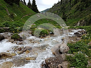 Mountain stream.