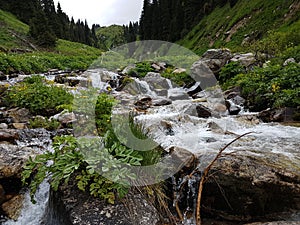 Mountain stream.