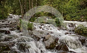 Mountain stream.