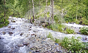 Mountain stream.