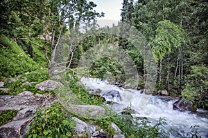 Mountain stream.