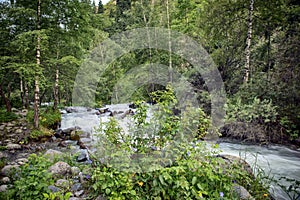 Mountain stream.