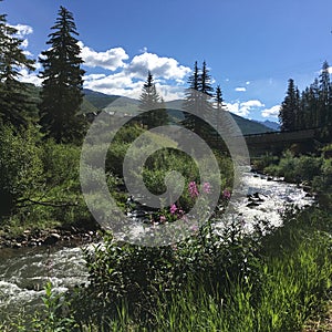 Mountain Stream