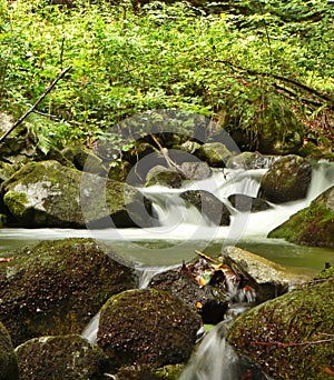 Mountain stream