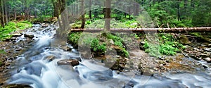 Mountain stream photo