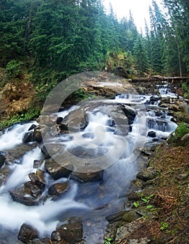 Mountain stream