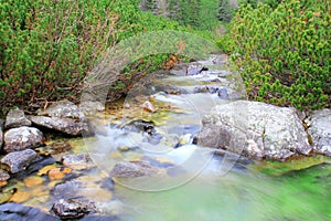 Mountain stream