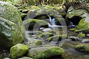 Mountain stream