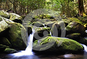 Mountain stream