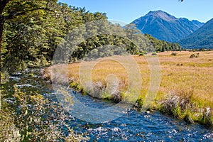 Mountain Stream