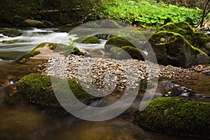 Mountain stream