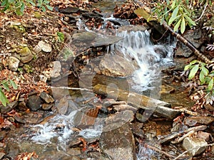 Mountain Stream