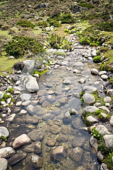 Mountain stream