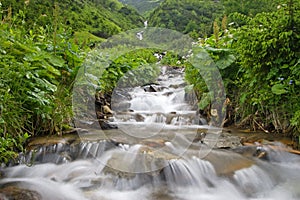 Mountain Stream