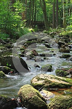 Mountain stream